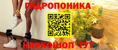 дурь Тара