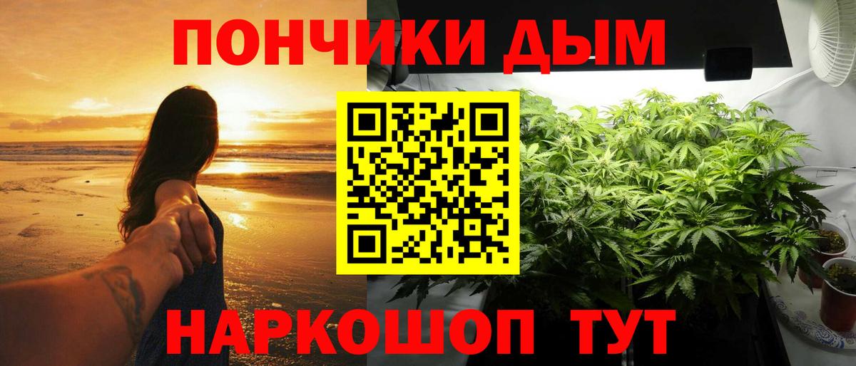МАРИХУАНА сатива  Шишки марихуана сатива  Шишки марихуана ГИДРОПОН  Ахтубинск  Вход с VPN  Бошки Шишки семена 